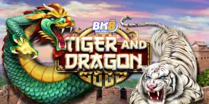 Cách chơi rồng hổ