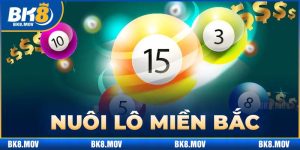 nuôi lô miền bắc